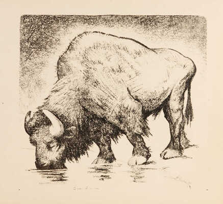 Шендеров Александр Семёнович. Бизон